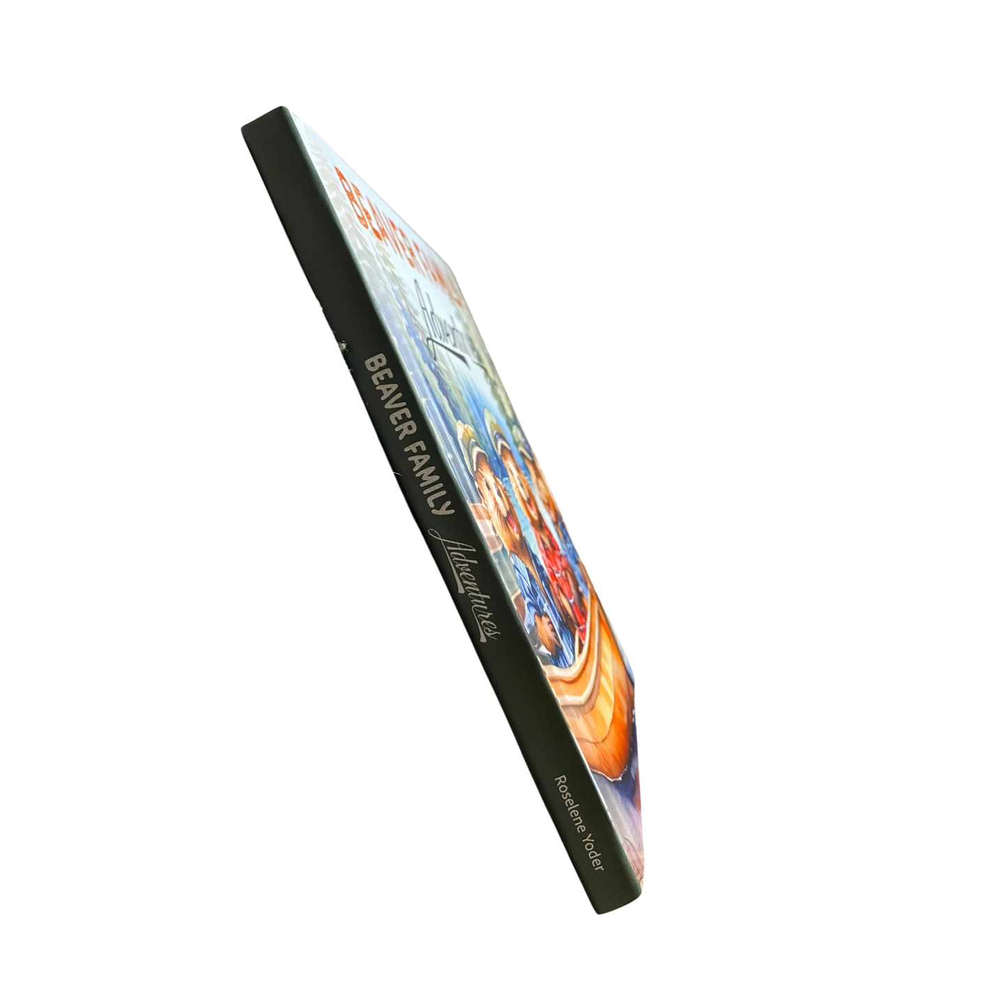 Beaver Family Adventures spine view of the book