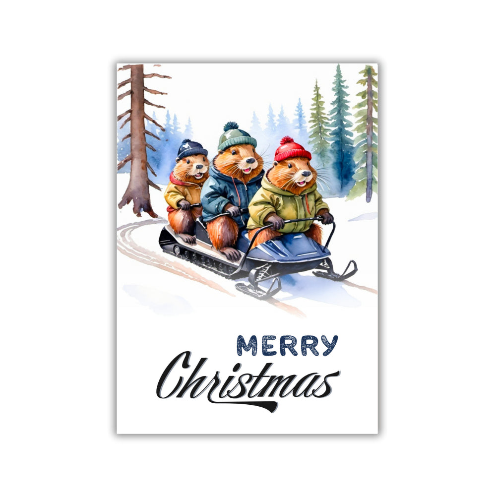 Christmas Cards | Package of Three